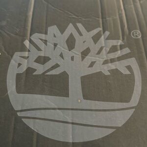 Size ten Timberlands